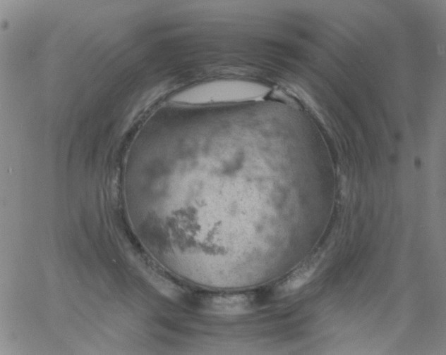 X0000061740357200512231506