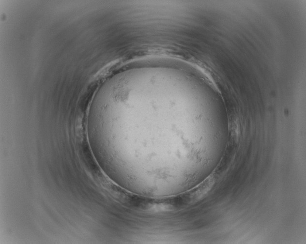 X0000061740360200512231506