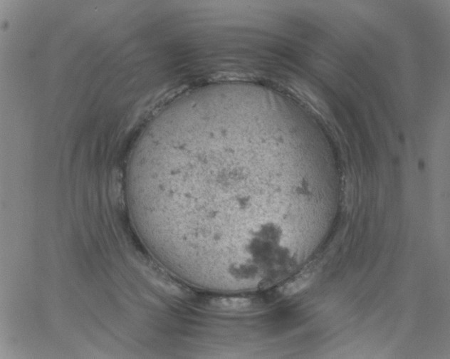 X0000061740361200512231506