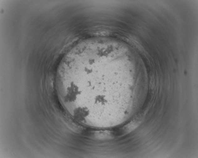 X0000061740363200512231506