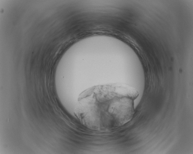 X0000061740365200512231506