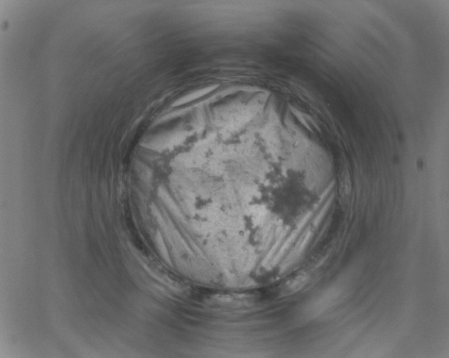 X0000061740367200512231506