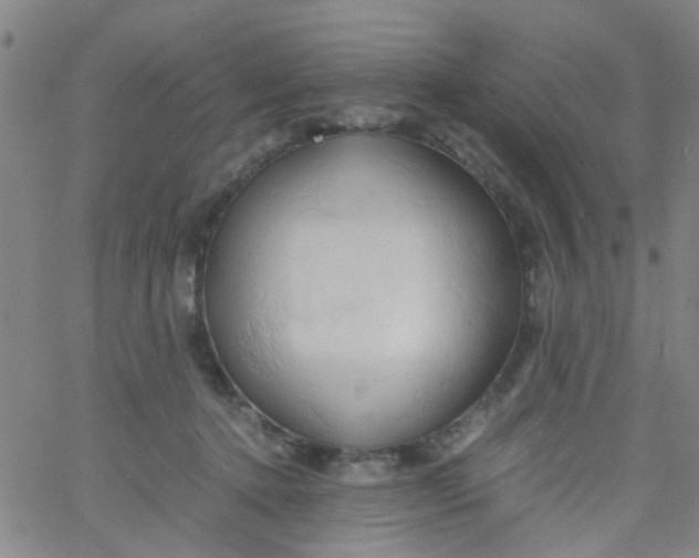 X0000061740368200512231506