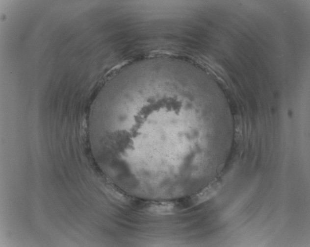 X0000061740369200512231506