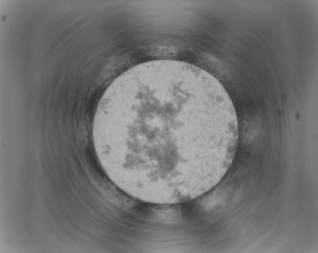 X0000061740370200512231506