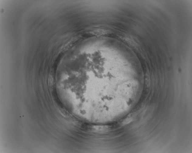 X0000061740371200512231506