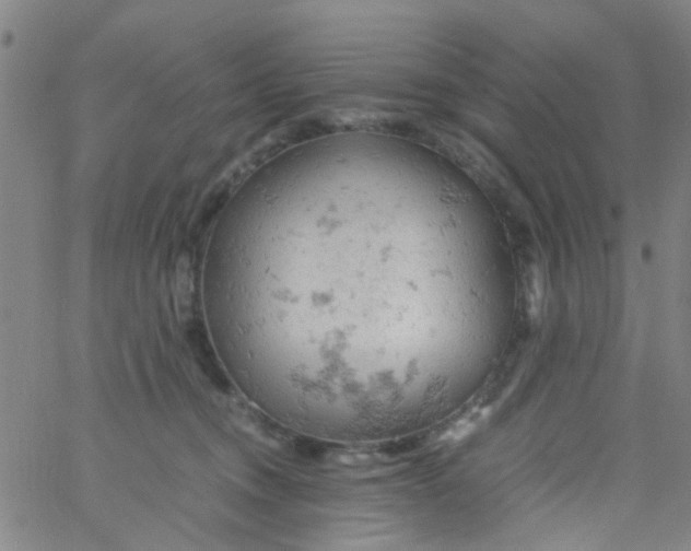 X0000061740372200512231506