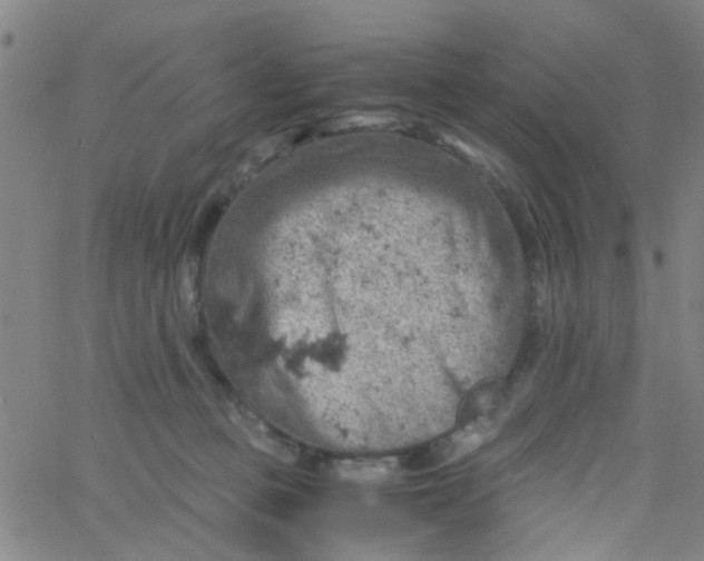 X0000061740373200512231506