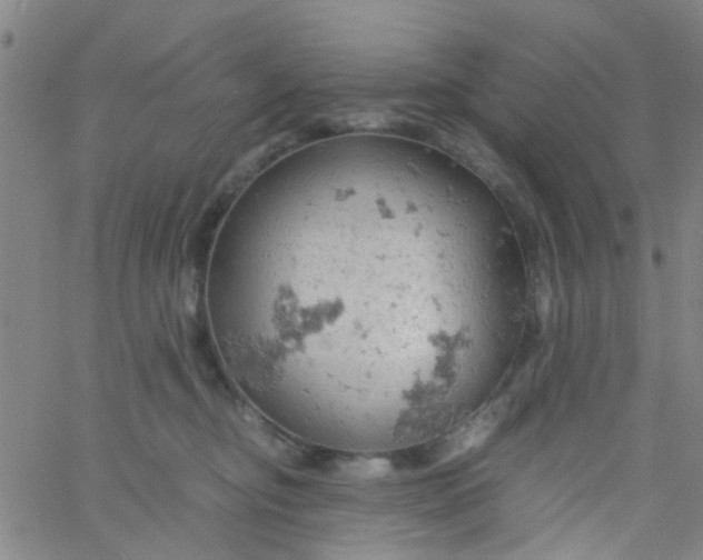 X0000061740374200512231506