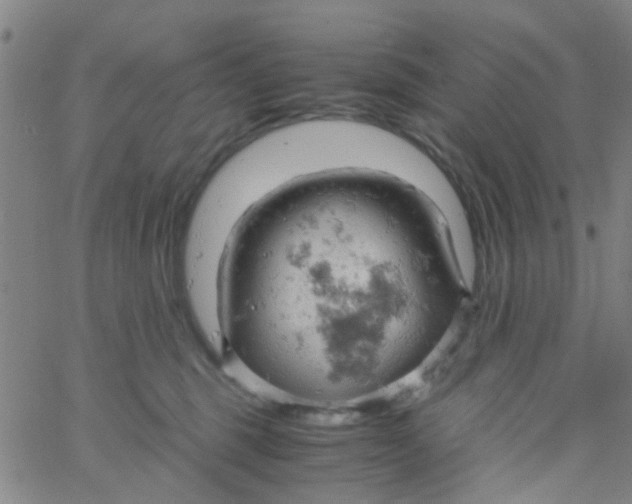 X0000061740375200512231506