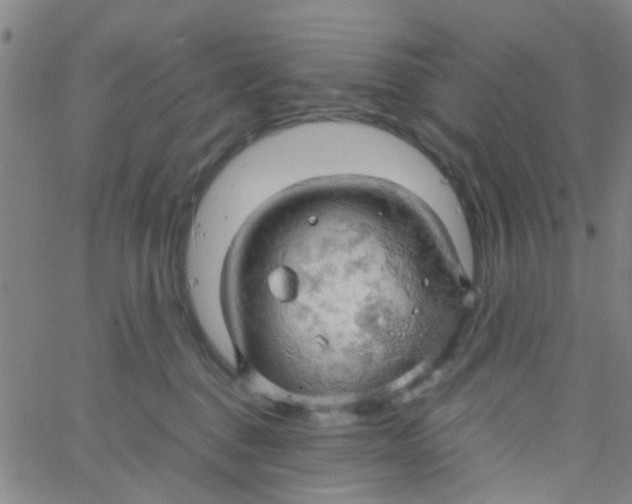 X0000061740376200512231506