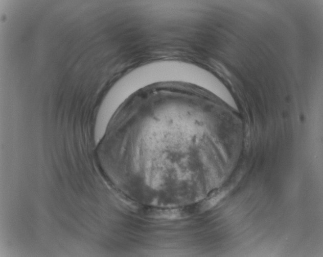 X0000061740377200512231506