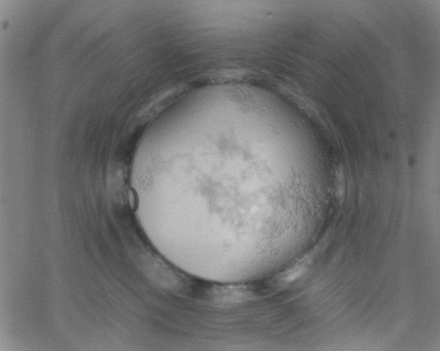 X0000061740378200512231506