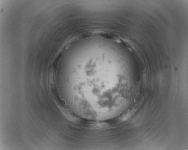 X0000061740379200512231506