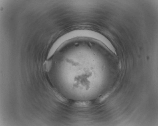 X0000061740381200512231506