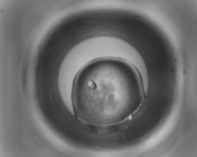 X0000061740382200512231506