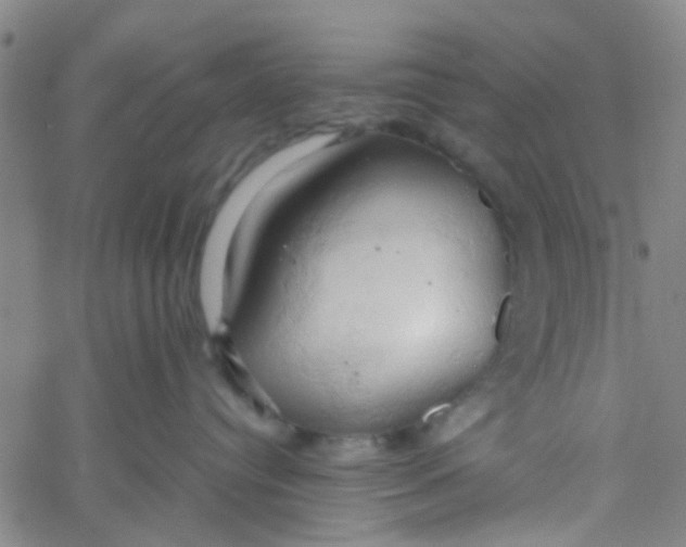 X0000061740384200512231506