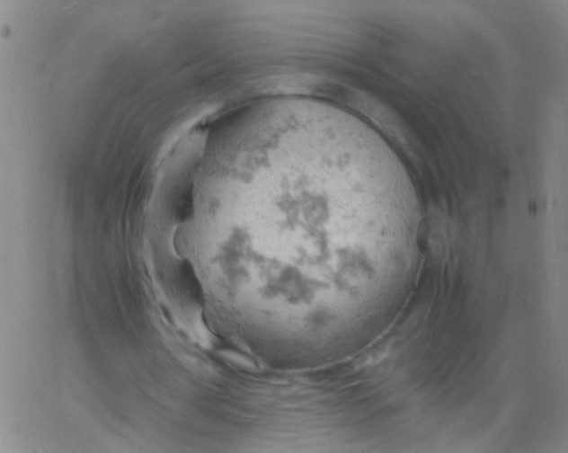 X0000061740386200512231505