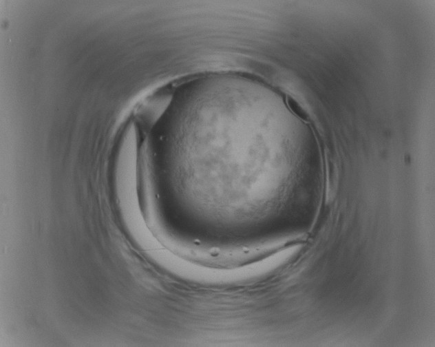 X0000061740387200512231505