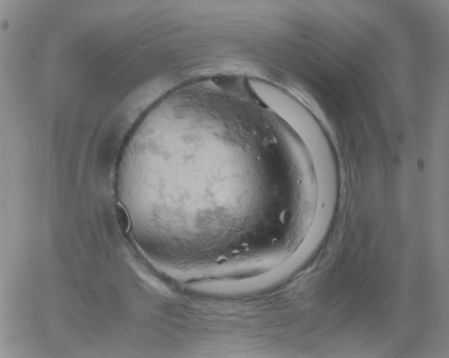 X0000061740389200512231505