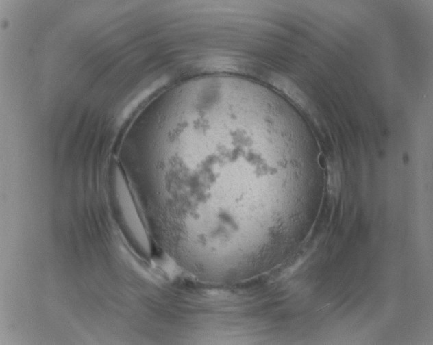 X0000061740390200512231505