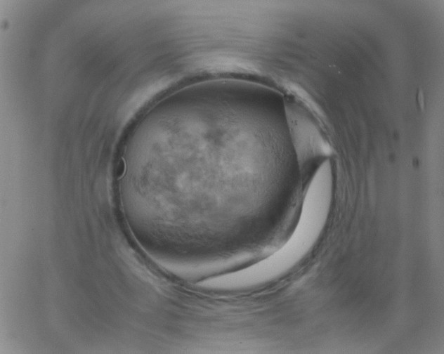 X0000061740391200512231505