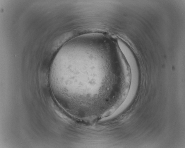 X0000061740393200512231505