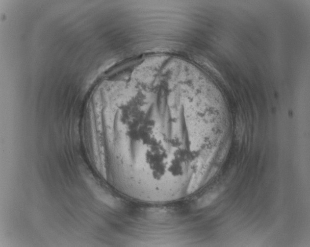 X0000061740394200512231505