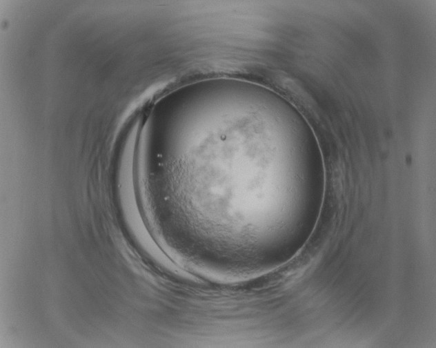 X0000061740395200512231505