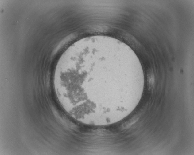 X0000061740396200512231505