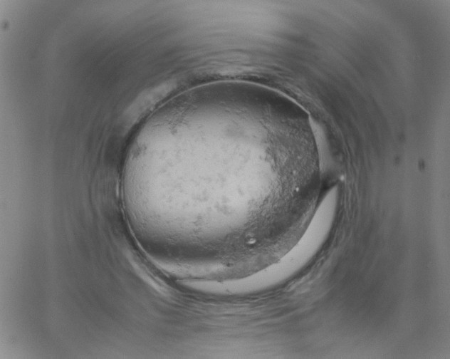 X0000061740397200512231505