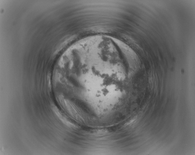 X0000061740398200512231505