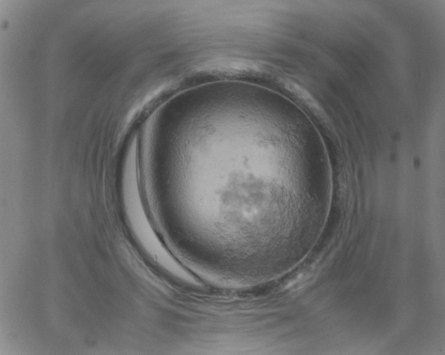 X0000061740399200512231505