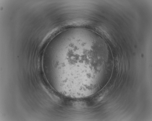 X0000061740400200512231505