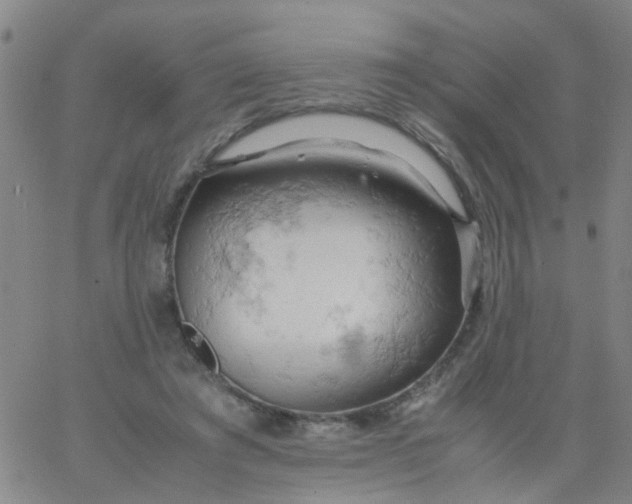 X0000061740401200512231505