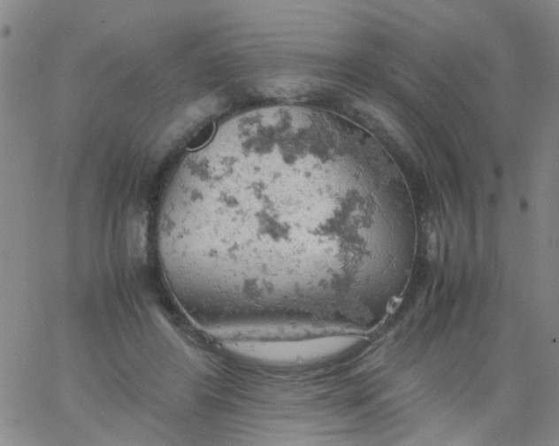 X0000061740404200512231505