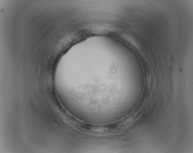 X0000061740407200512231505