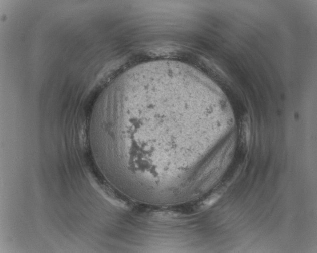 X0000061740408200512231505