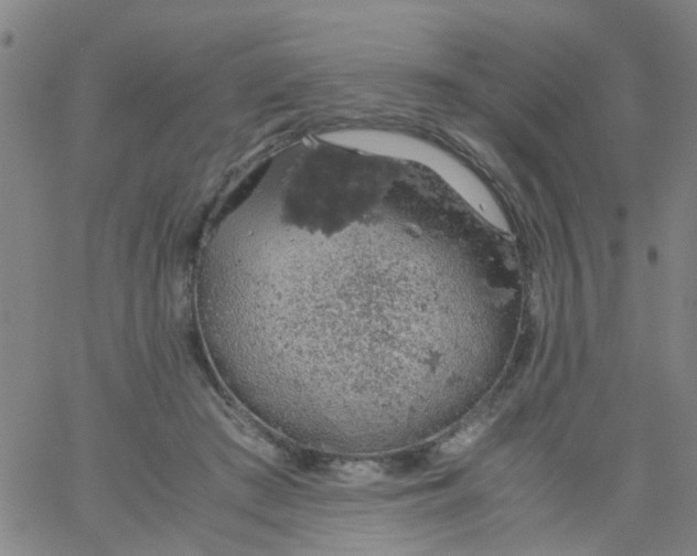 X0000061740409200512231505