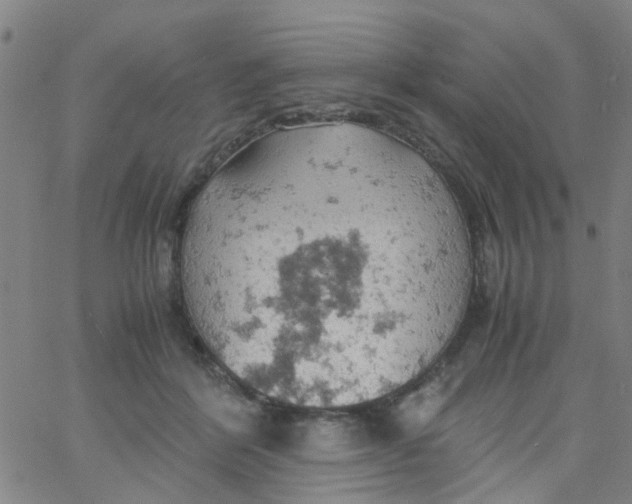 X0000061740412200512231505