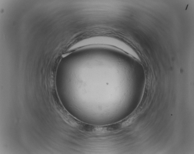 X0000061740413200512231505