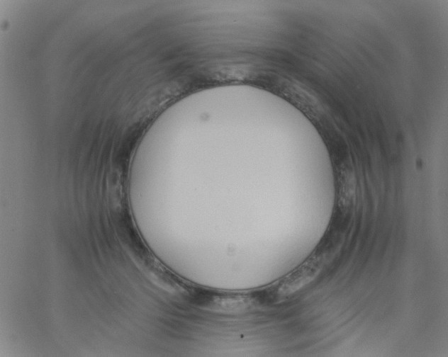 X0000061740414200512231505