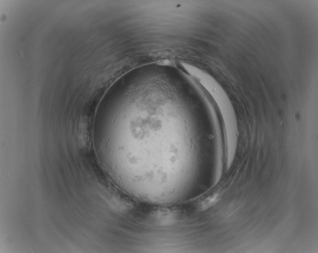 X0000061740416200512231505