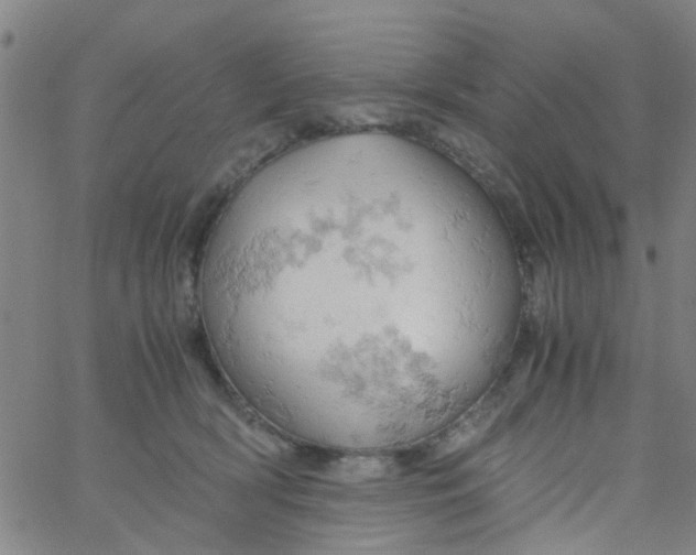 X0000061740418200512231505