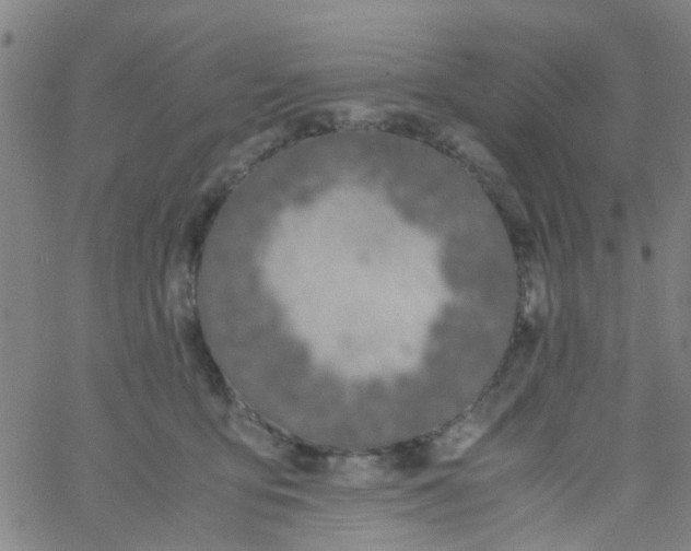 X0000061740419200512231505