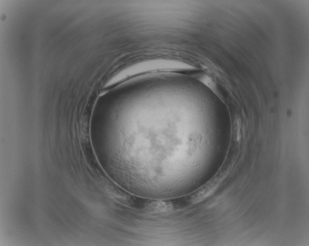 X0000061740421200512231505