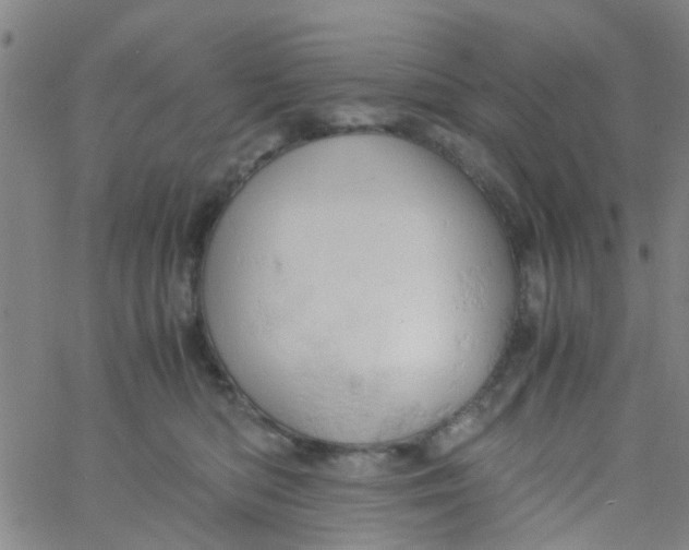 X0000061740422200512231505