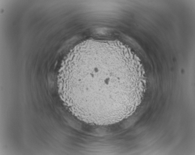 X0000061740423200512231505