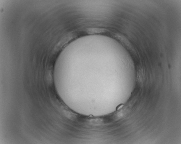 X0000061740426200512231505