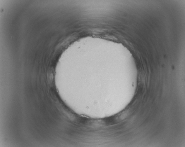 X0000061740427200512231505